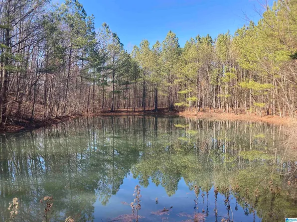 143 Rocky Hollow Ln #0, Piedmont, AL 36272