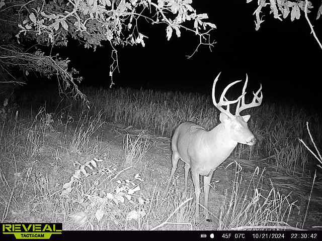 1st image of 120 Th Rd