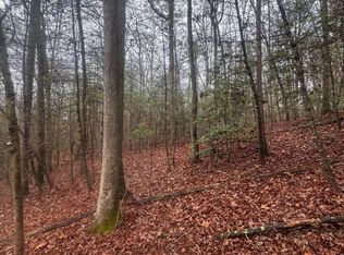 0 W Mountaintown Trl, Ellijay, GA 30540