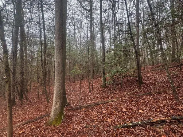 0 W Mountaintown Trl, Ellijay, GA 30540