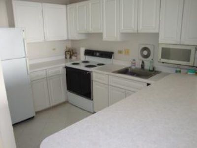 111 W Maple St APT 2811, Chicago, IL, 60610