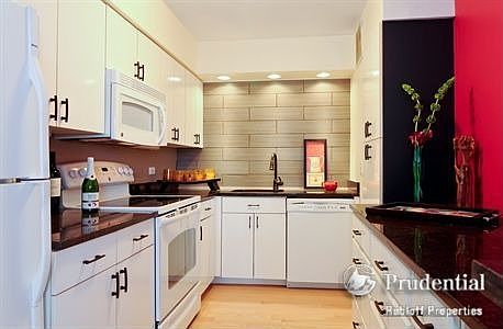 5th image of 1000 N Lake Shore Dr APT 1602