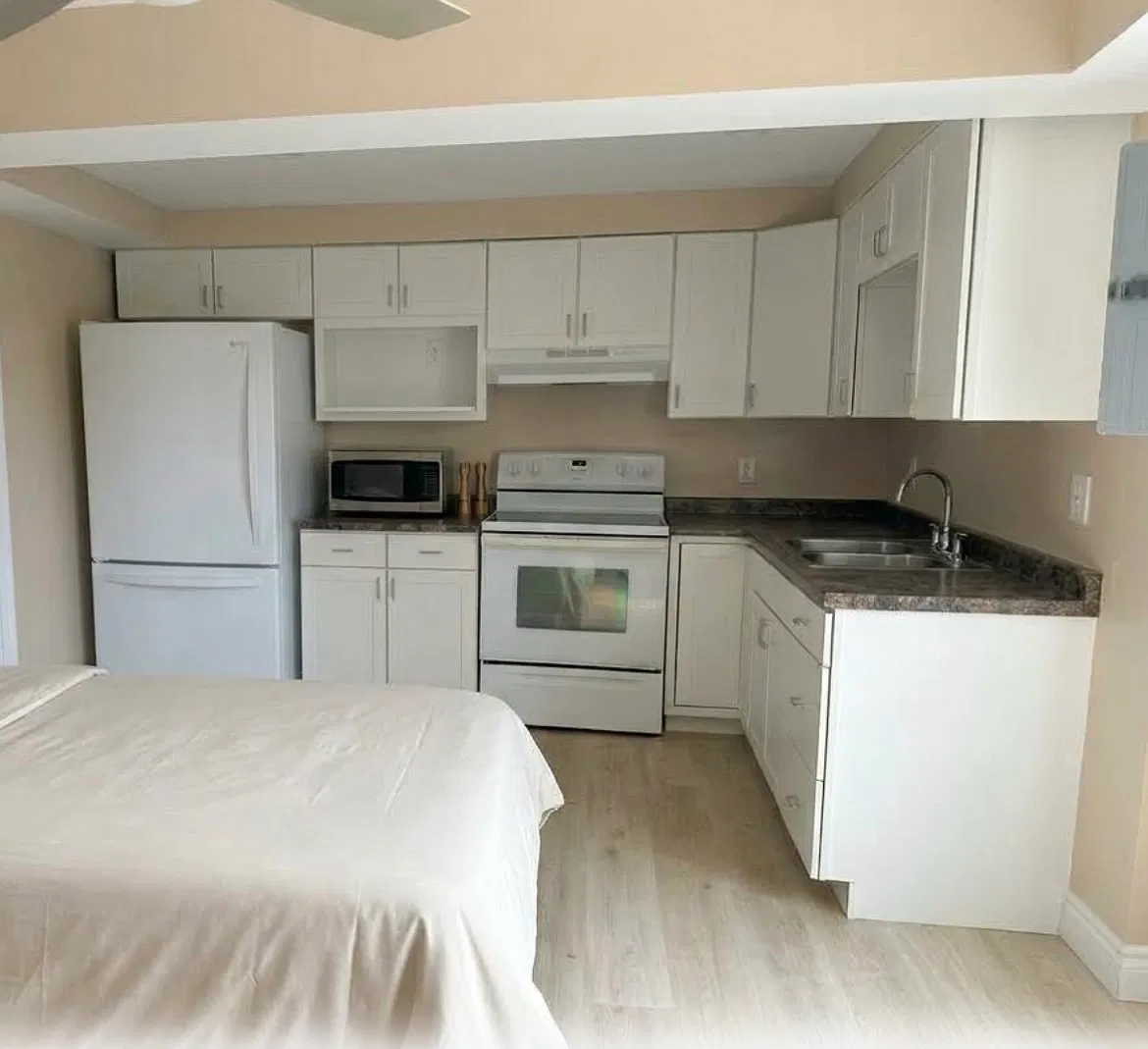 1 bed, 450 sqft, $1,800 — Photo 3