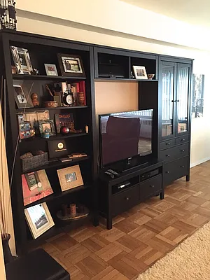 Rented by Luxus Manhattan Realty | media 20