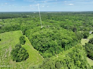 93 Jenkins Rd, Yemassee, SC 29945