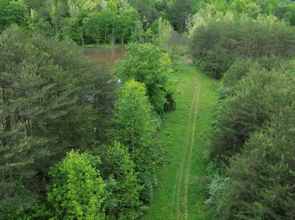 9999 Lick Branch Rd, Flat Lick, KY 40935