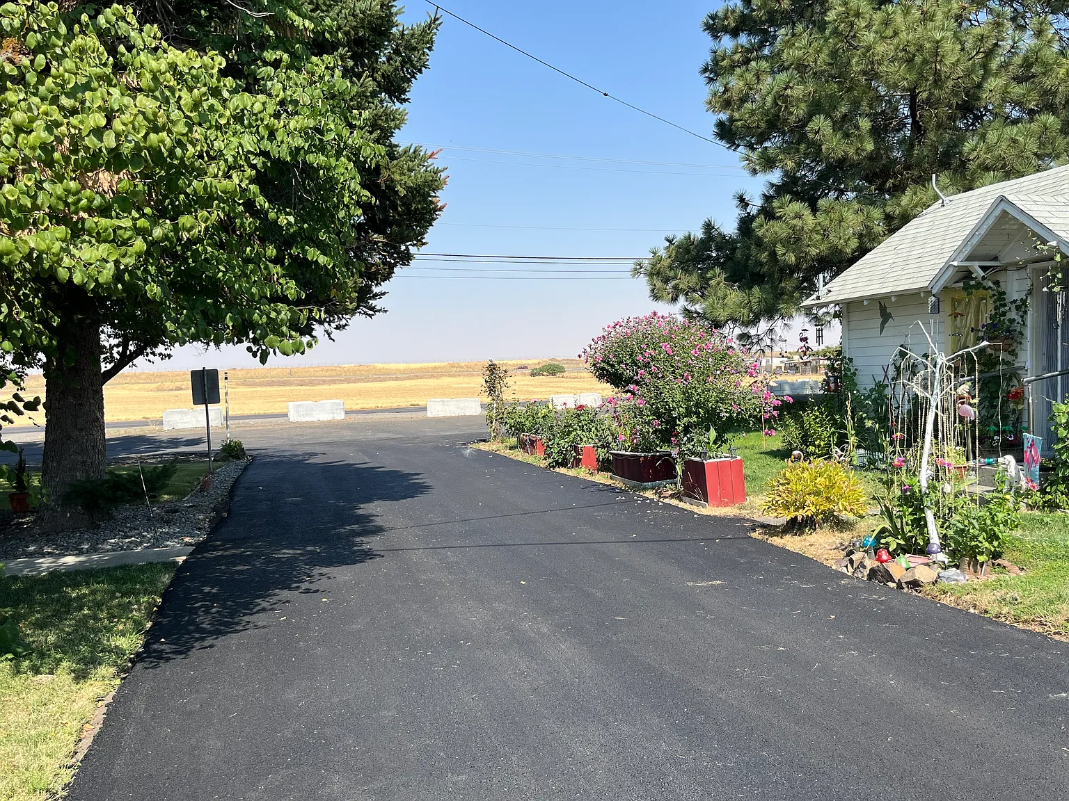 1 bed, $683 — Photo 3
