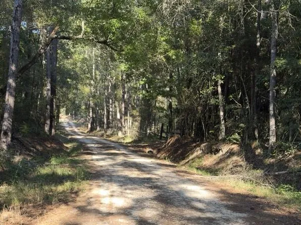355 Bar East Rd Lot 16, Livingston, TX 77351
