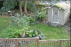 Back Yard From Deck