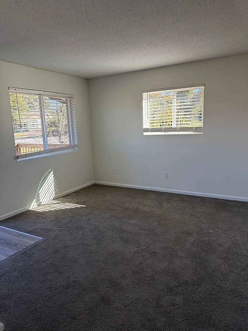 Courtyard Apartments | 1006 Salisbury Street Apt 1-B — Photo 4
