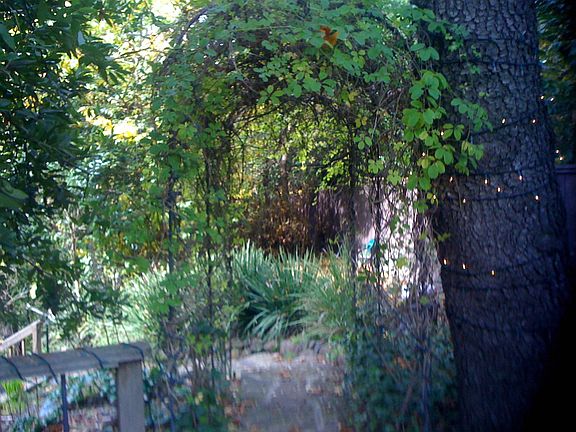 4th image of 3 Sir Francis Drake Blvd