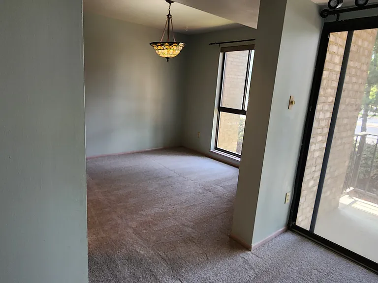2069 Royal Fern Ct #11B — Photo 15