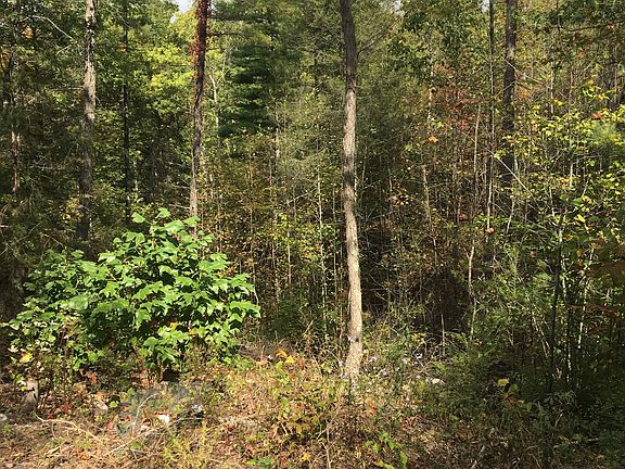 3rd image of James Pt #8-14