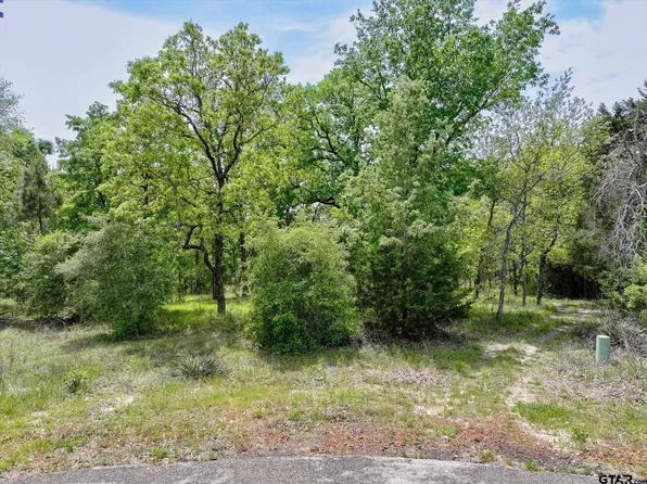 8950 Timber Rdg, Larue, TX 75770
