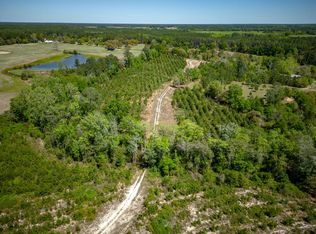 0 Starling Rd, Alma, GA 31510