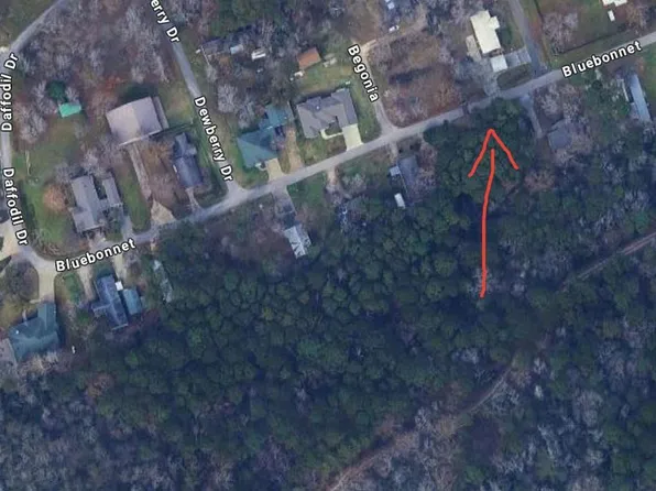 Lots 19 And 20 Bluebonnet, Livingston, TX 77351