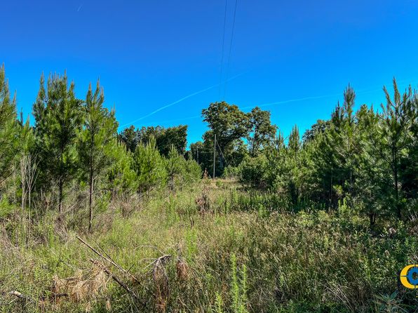 0 Marvis Chapman Rd, Ideal, GA 31041