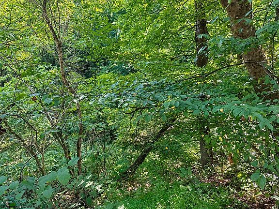3rd image of 681 Knottsville Rd