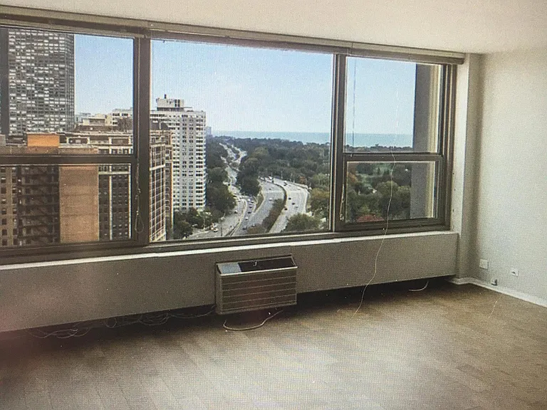 3600 N Lake Shore Dr #2118 — Photo 11