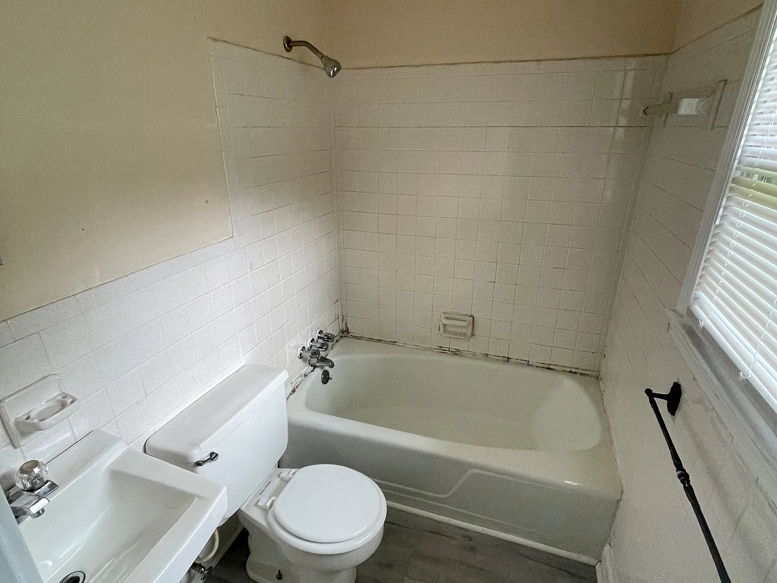 2 bed, $800 — Photo 3