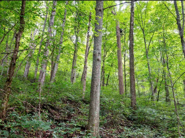 786 Wilson Run Rd, Pine Grove, WV 26419