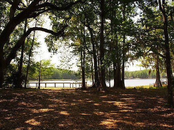 Lake Tsala Apopka Deeded Access