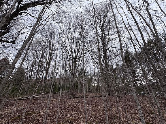 4th image of 0 W Nagles Rd #1