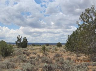 5270 Hunt Road Cr & Cir #9015, Concho, AZ 85924