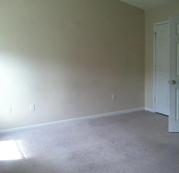 150 Swaying Pine Ct — Photo 7