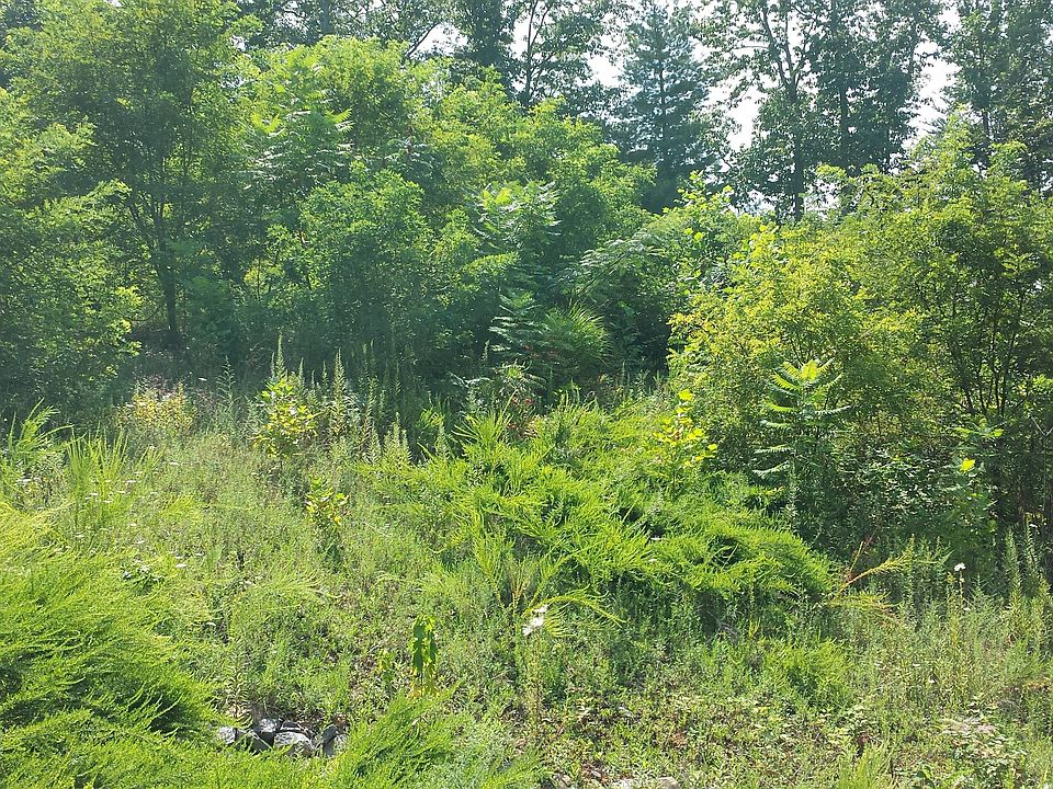 1st image of 0 Potomac Ave #29A