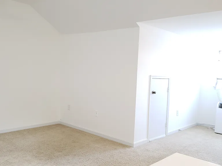Loft - Bonus Room