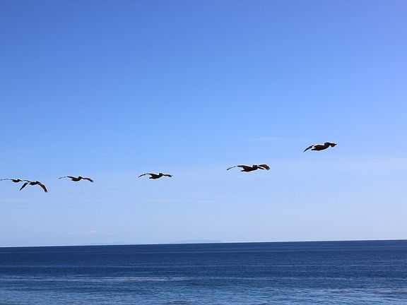 4th image of 31531 Pacific Coast Hwy