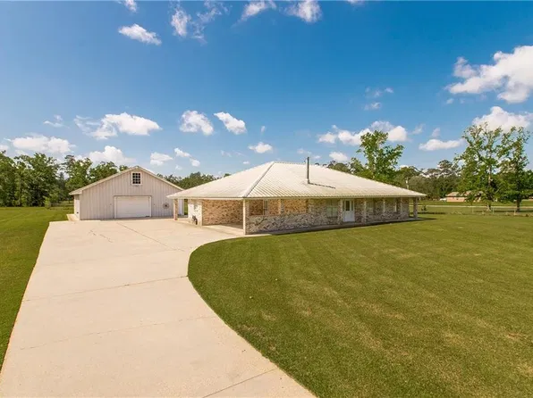 31230 Carter Cemetery Rd, Springfield, LA 70462
