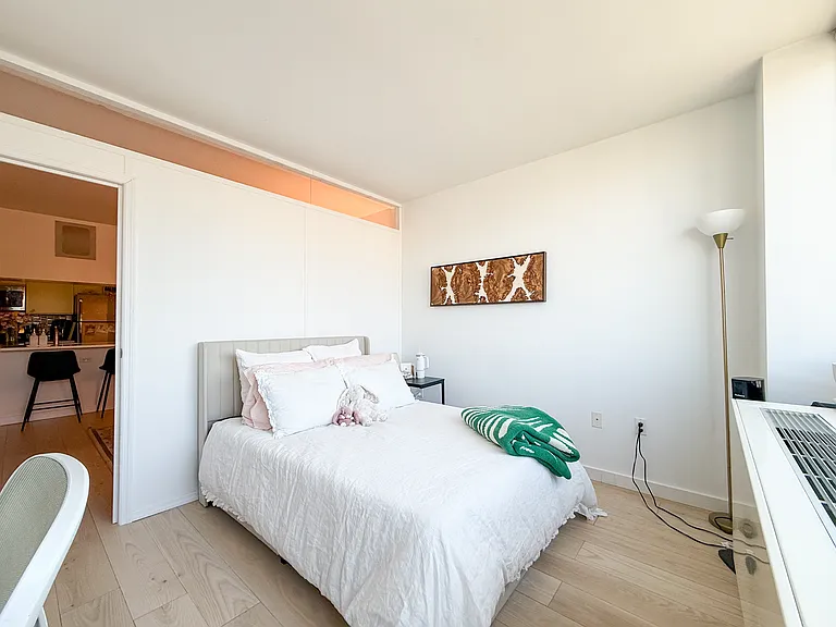 310 E 2nd St #9K — Photo 9