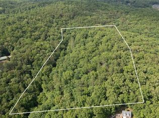 0 Old Mill Rd LOT 64, Mineral Bluff, GA 30559