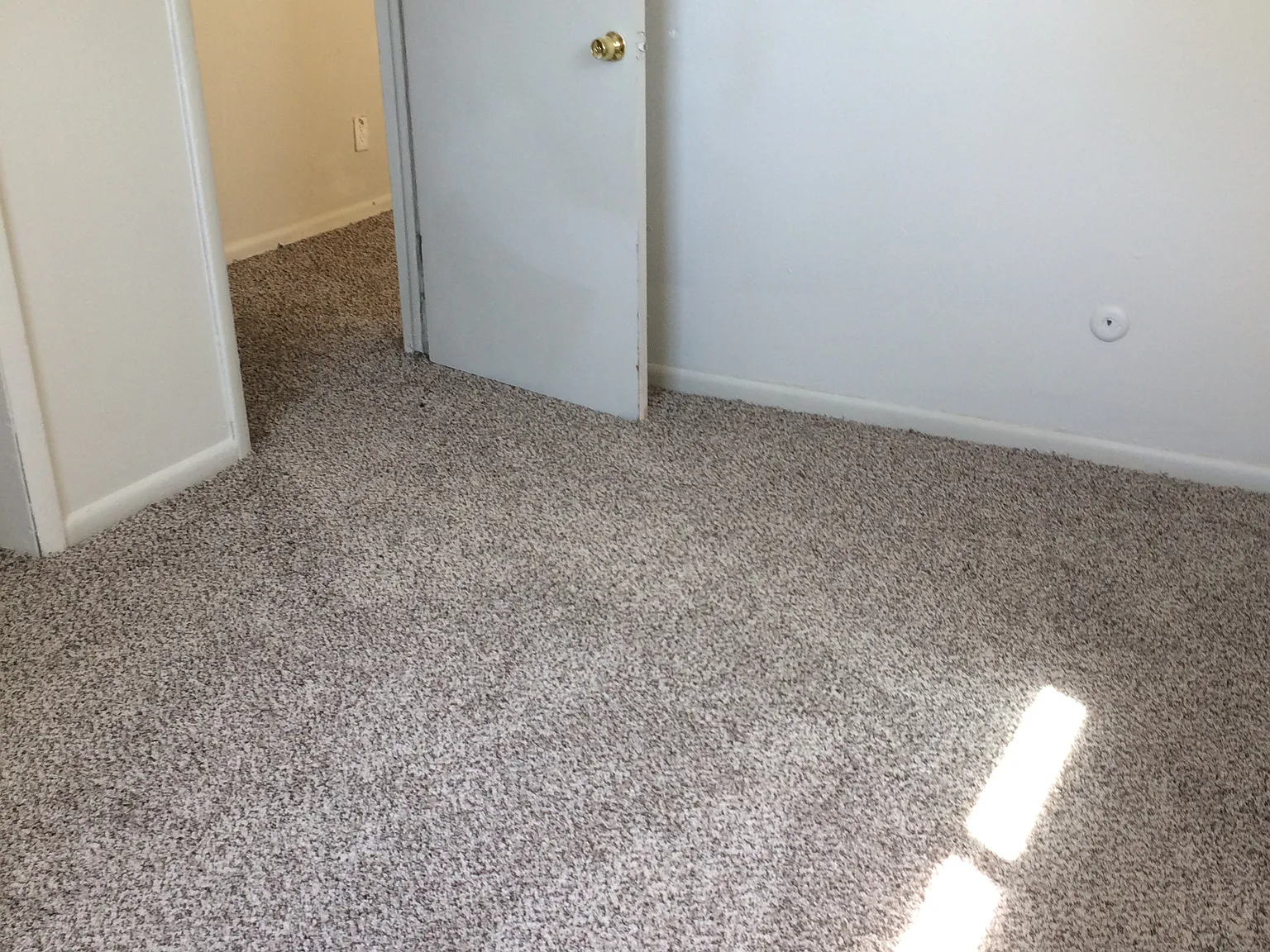 2 bed, 668 sqft, $1,600 — Photo 2