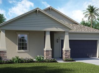 13910 Roseate Tern Ln, Riverview, FL 33579