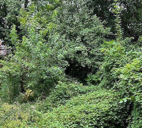 4th image of 6312 Limekiln Pike