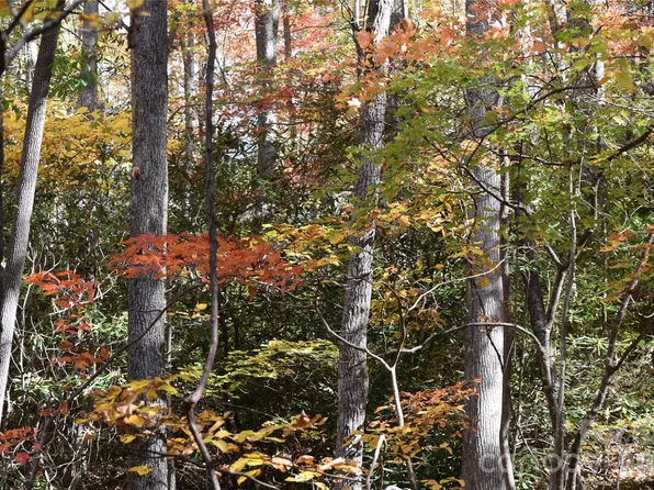 Tbd Clear Creek Rd, Burnsville, NC 28714