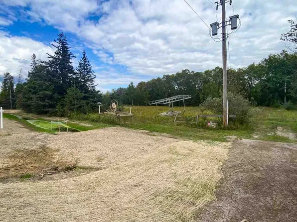 8425 S Us Highway 31 Parcel B, Alanson, MI 49706