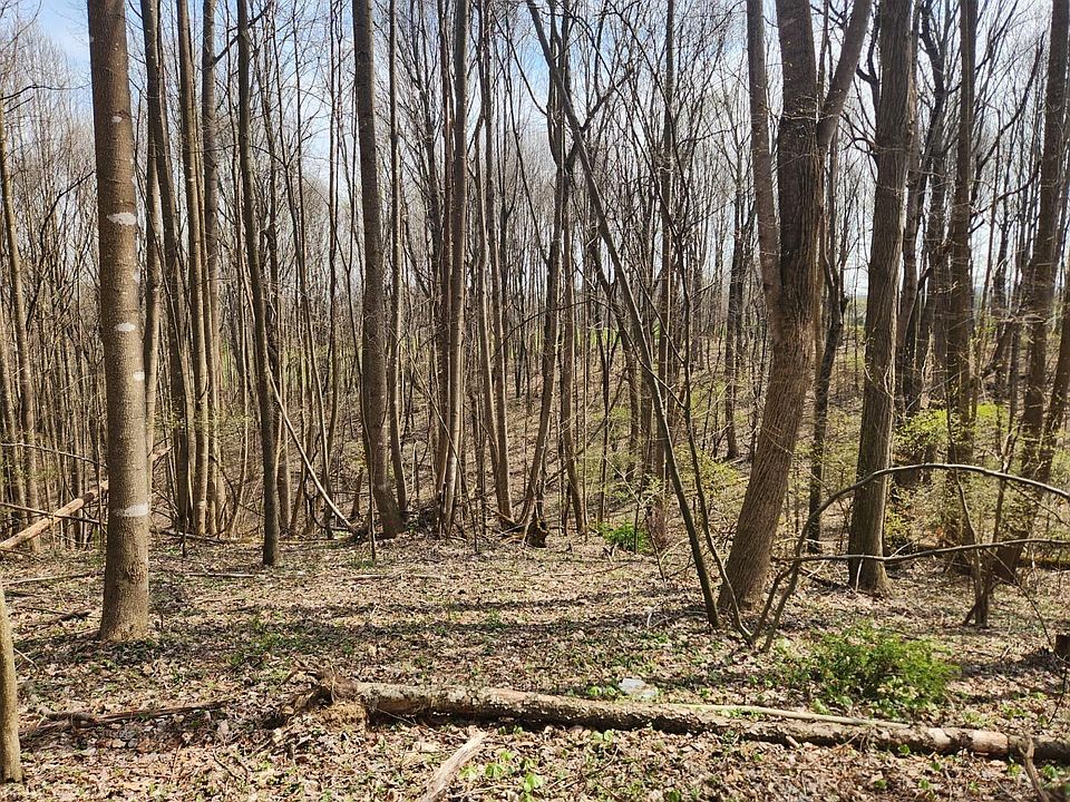 2nd image of Allis Chalmer Rd