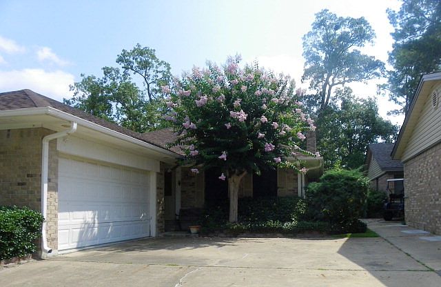 1st image of 1011 Augusta Dr