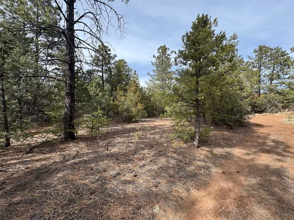 0 Jose Gonzales Rd, Pecos, NM 87552