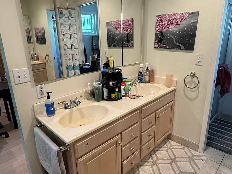 Master bedroom vanity
