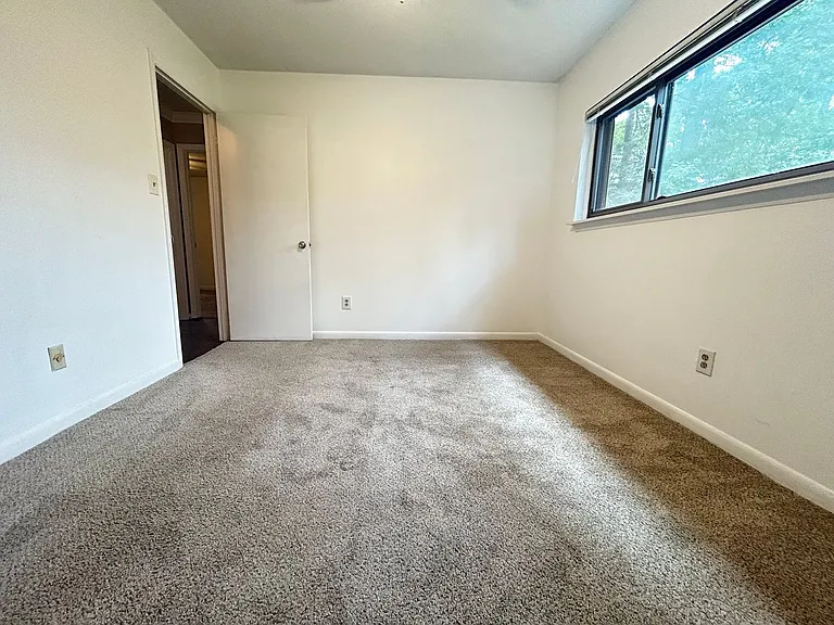 654 Pine Ridge Pl — Photo 11