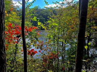 0 Sweet Birch Ln, Tuckasegee, NC 28783