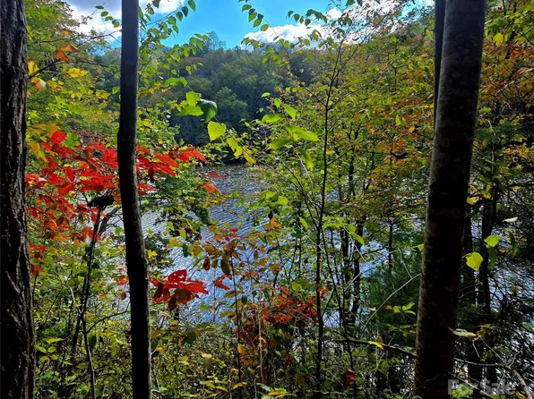 0 Sweet Birch Ln, Tuckasegee, NC 28783