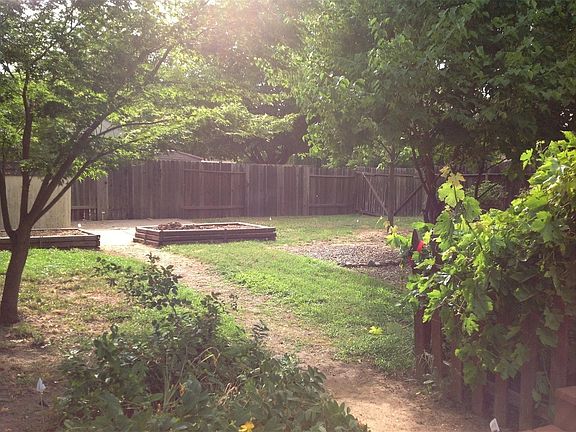 Backyard shed