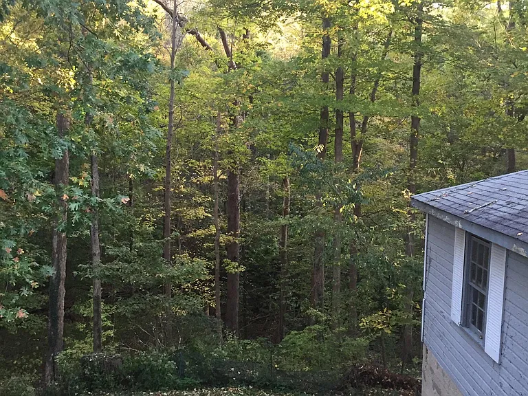 View is Ault Park from deck.