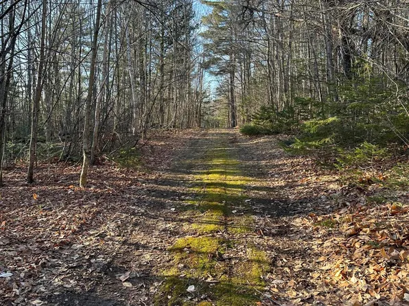 Lot# 3&4 Clark Richardson Road, Garland, ME 04939